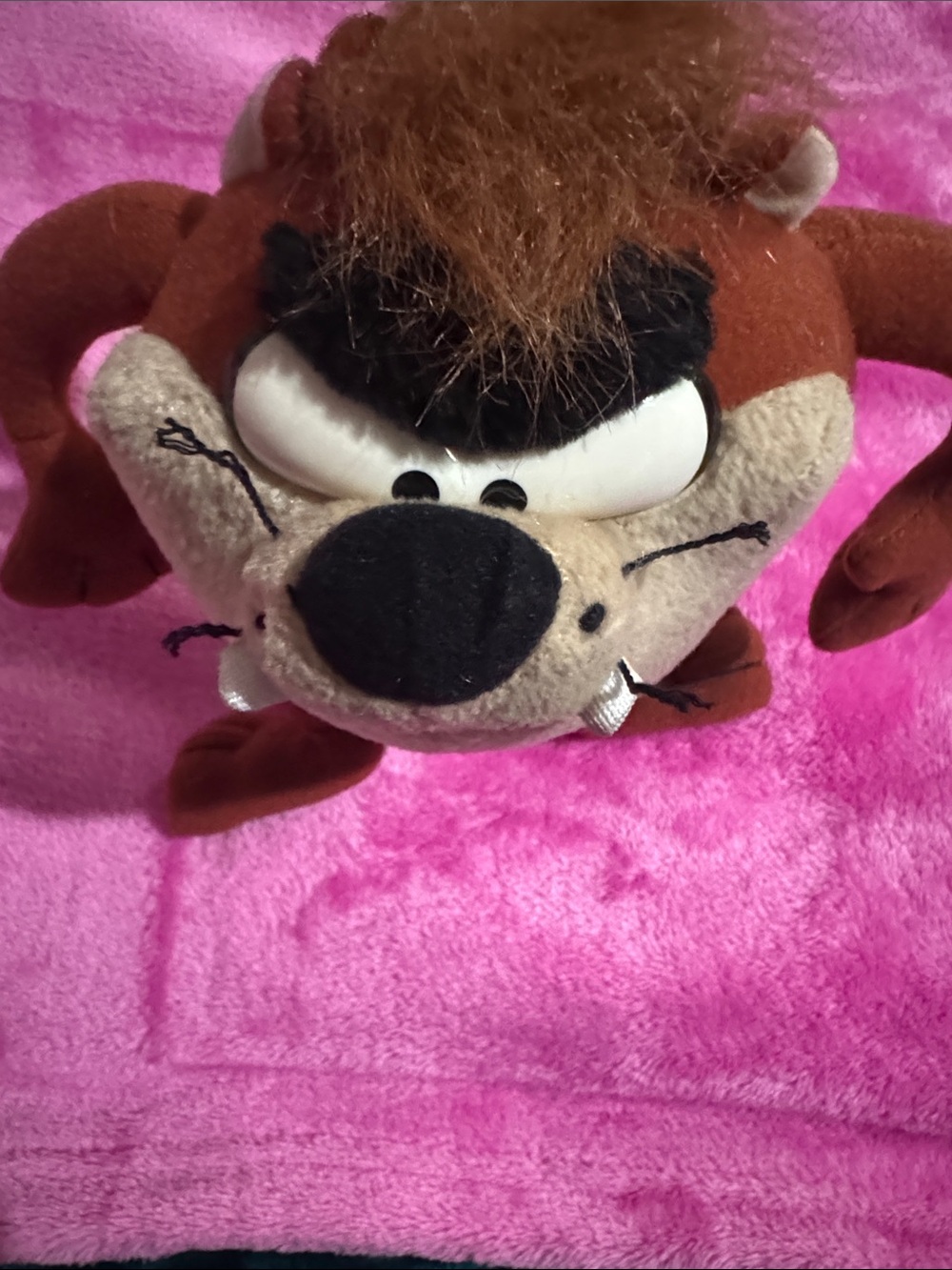 Warner Bros. Taz Plush Toy in Brown and Black